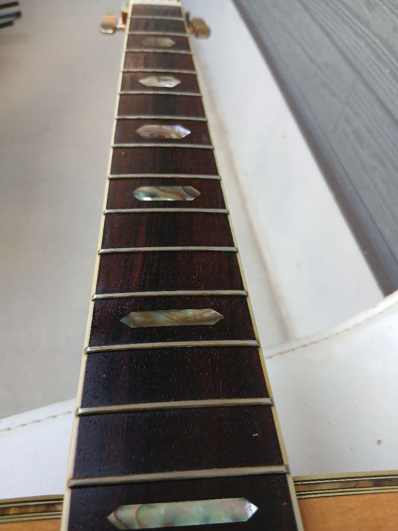 MORRIS TF-50(HC付き)