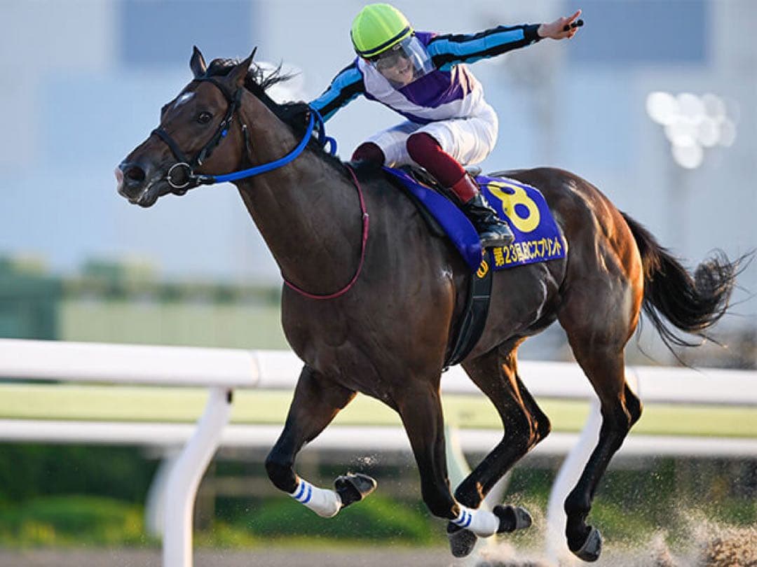 園田競馬 イグナイター 引退式 200枚限定配布 ステッカー