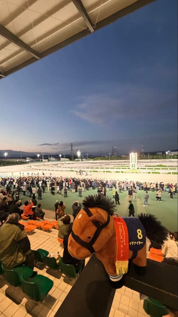 園田競馬 イグナイター 引退式 200枚限定配布 ステッカー