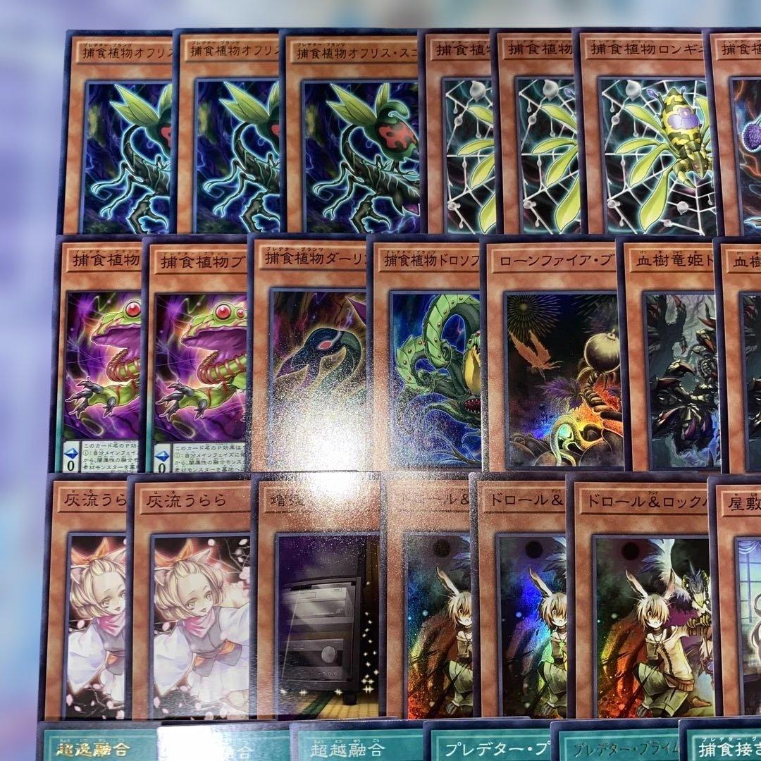 【2161】遊戯王　捕食植物デッキ　プレデタープランツcs優勝構築超逸融合　大会