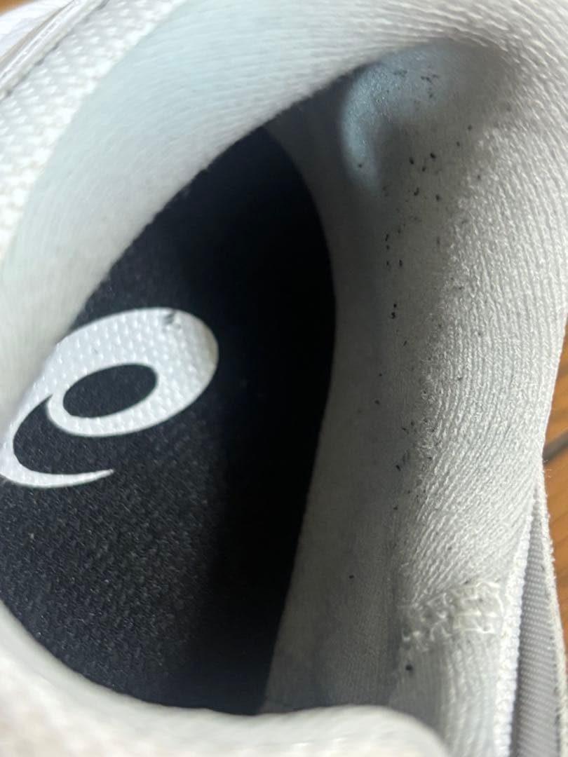 シューズ(女性用) asics GLIDE NOVA FF4