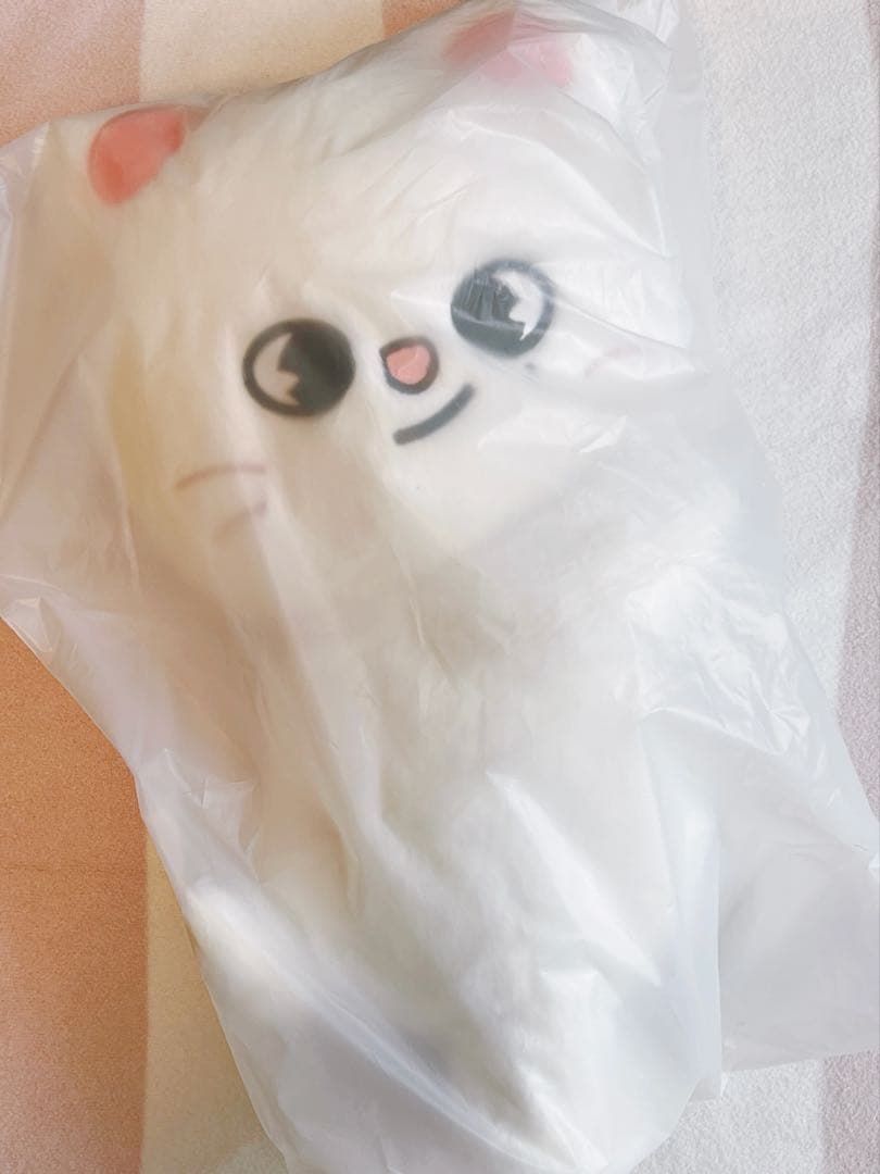 アイドル Stray Kids SKZOO PLUSH BAG - Jiniret