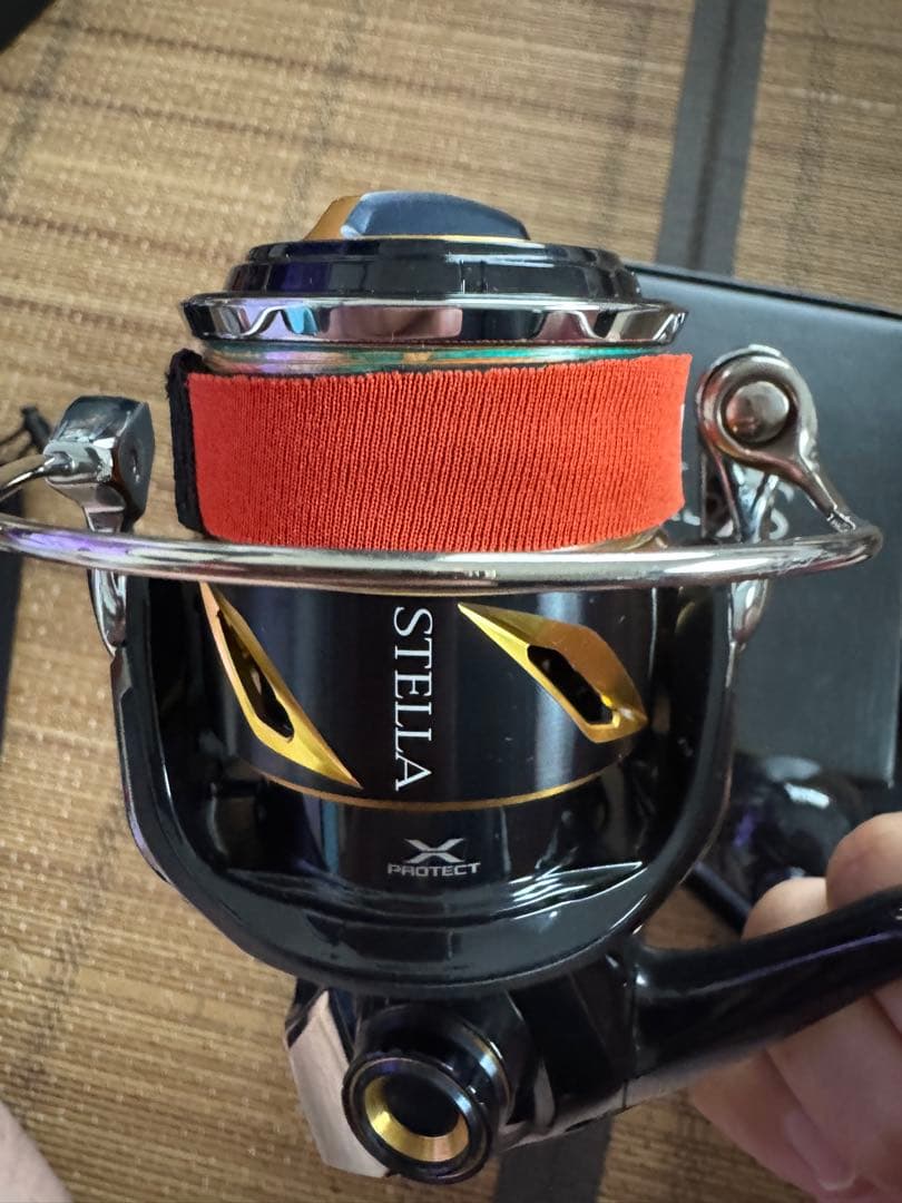 20ステラ SW 6000XG