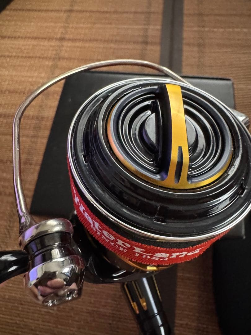 20ステラ SW 6000XG