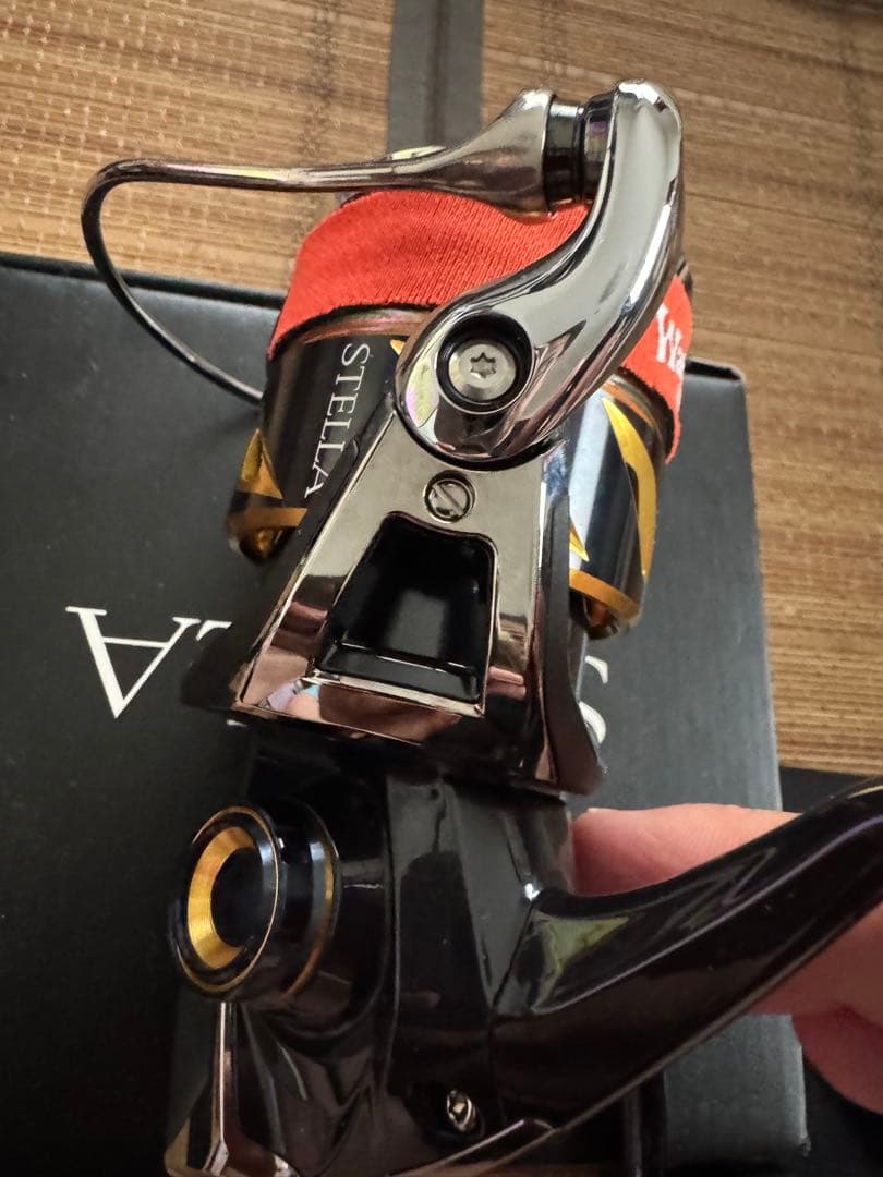 20ステラ SW 6000XG