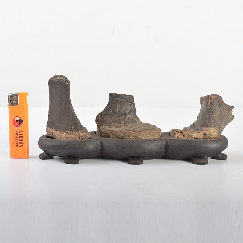 天然石　鑑賞石　木化石　置物　重さ約580g　唐木台付　C　6066