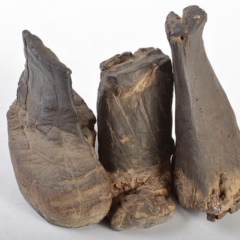 天然石　鑑賞石　木化石　置物　重さ約580g　唐木台付　C　6066