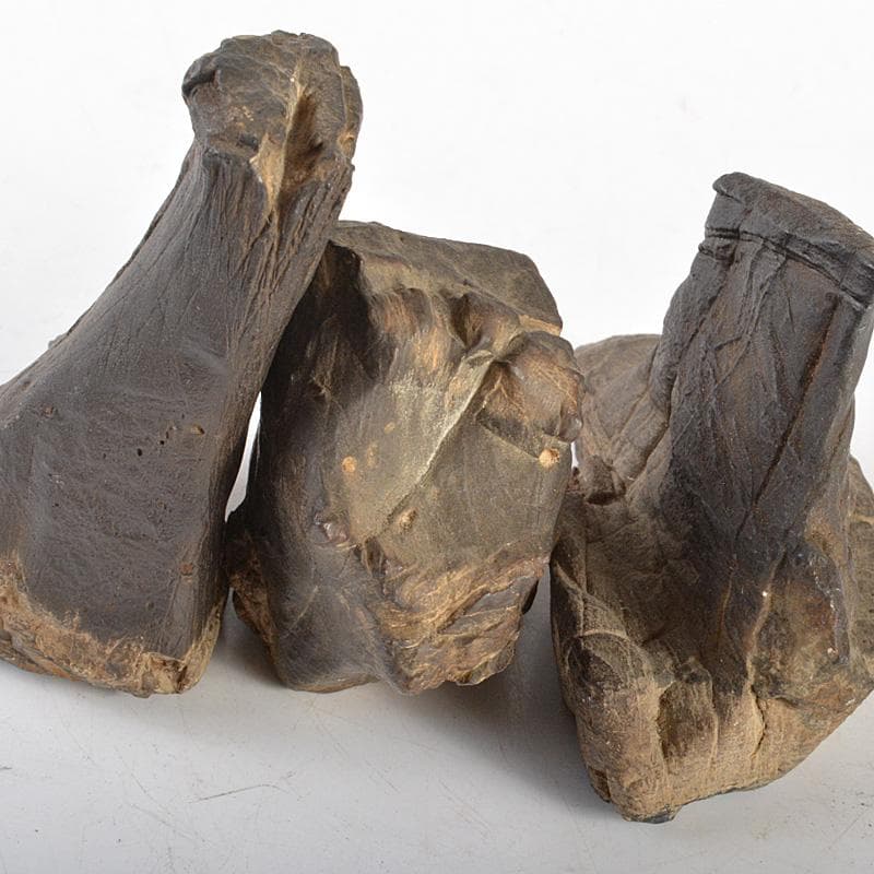 天然石　鑑賞石　木化石　置物　重さ約580g　唐木台付　C　6066