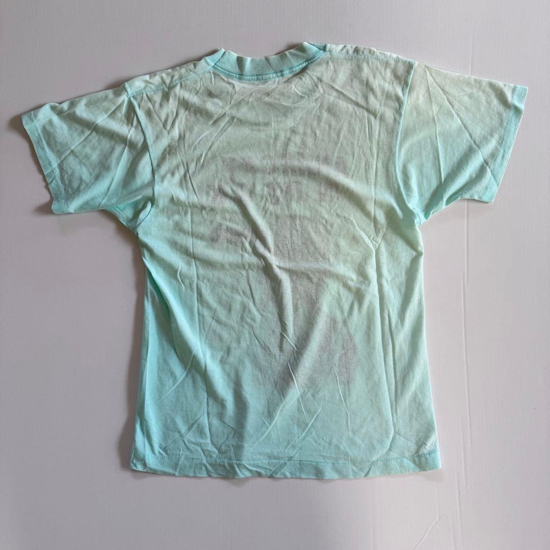 Sex Pistols セックスピストルズ ビンテージTシャツ