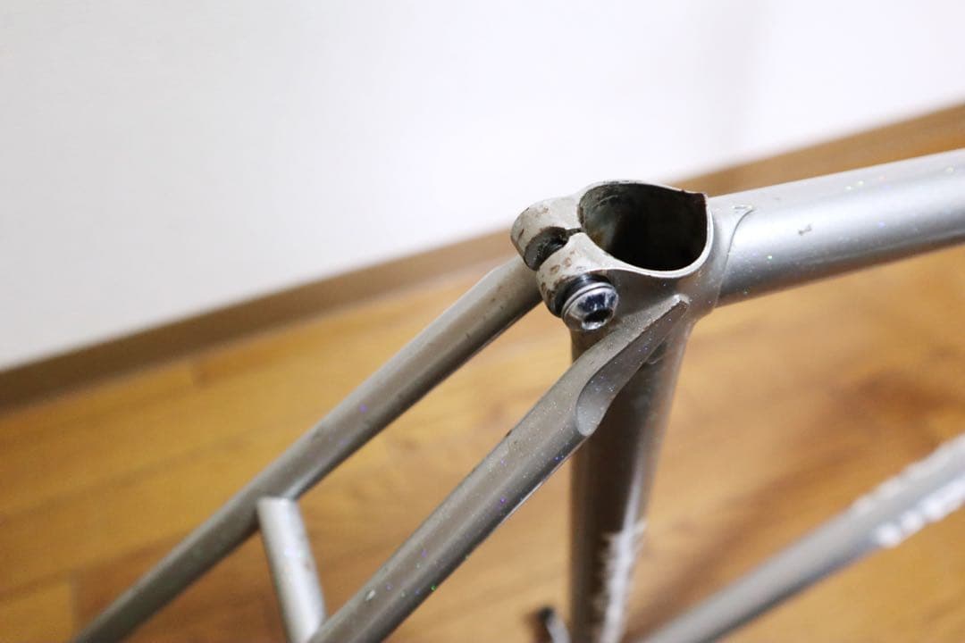 PELOTON プロトン　シルバー ラメ　ピストフレーム