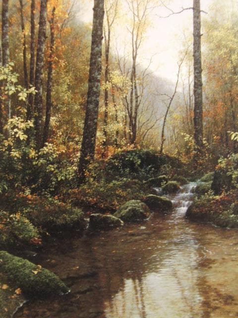 田染幸雄、晩秋（奥入瀬）、希少画集画、状態良好、新品高級額装付