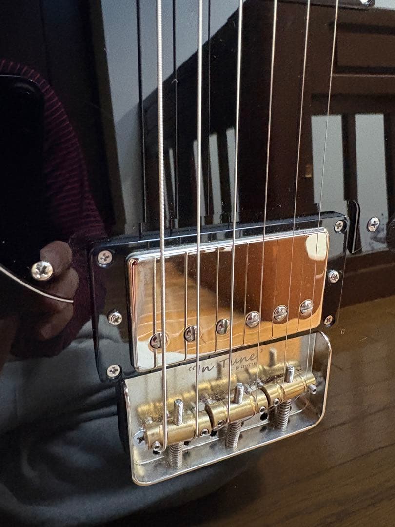 ギター FREEDOM Custom Guitar Research SHAKER