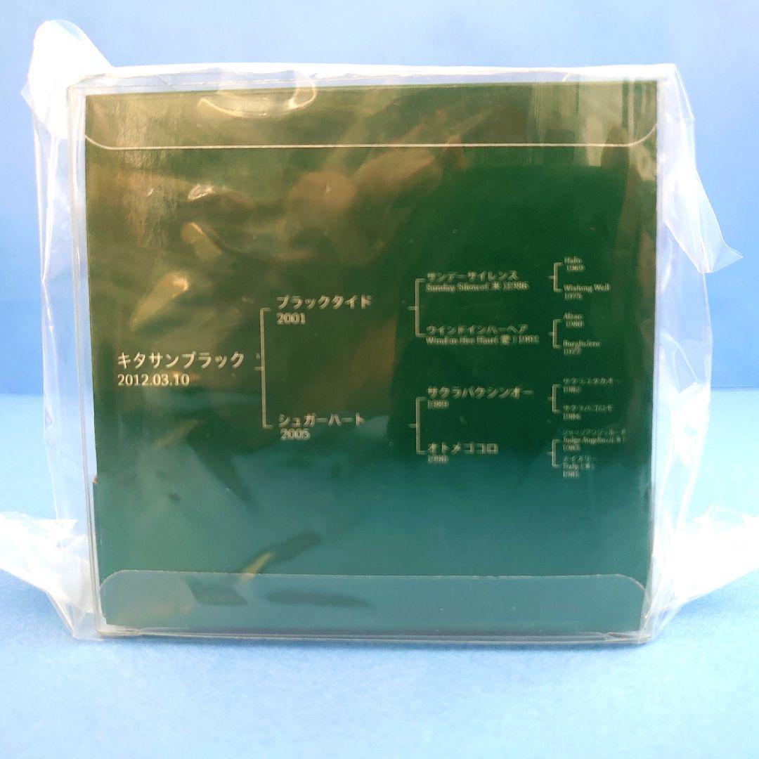 【新品】キタサンブラックぬいぐるみフィギュアウマ娘アイドルホースAVANTI