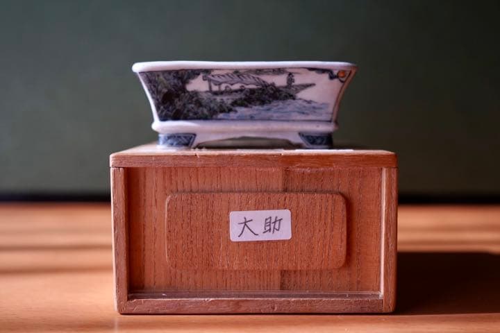 郵送無料　小品盆栽佐野大助  五彩絵　風景鉢