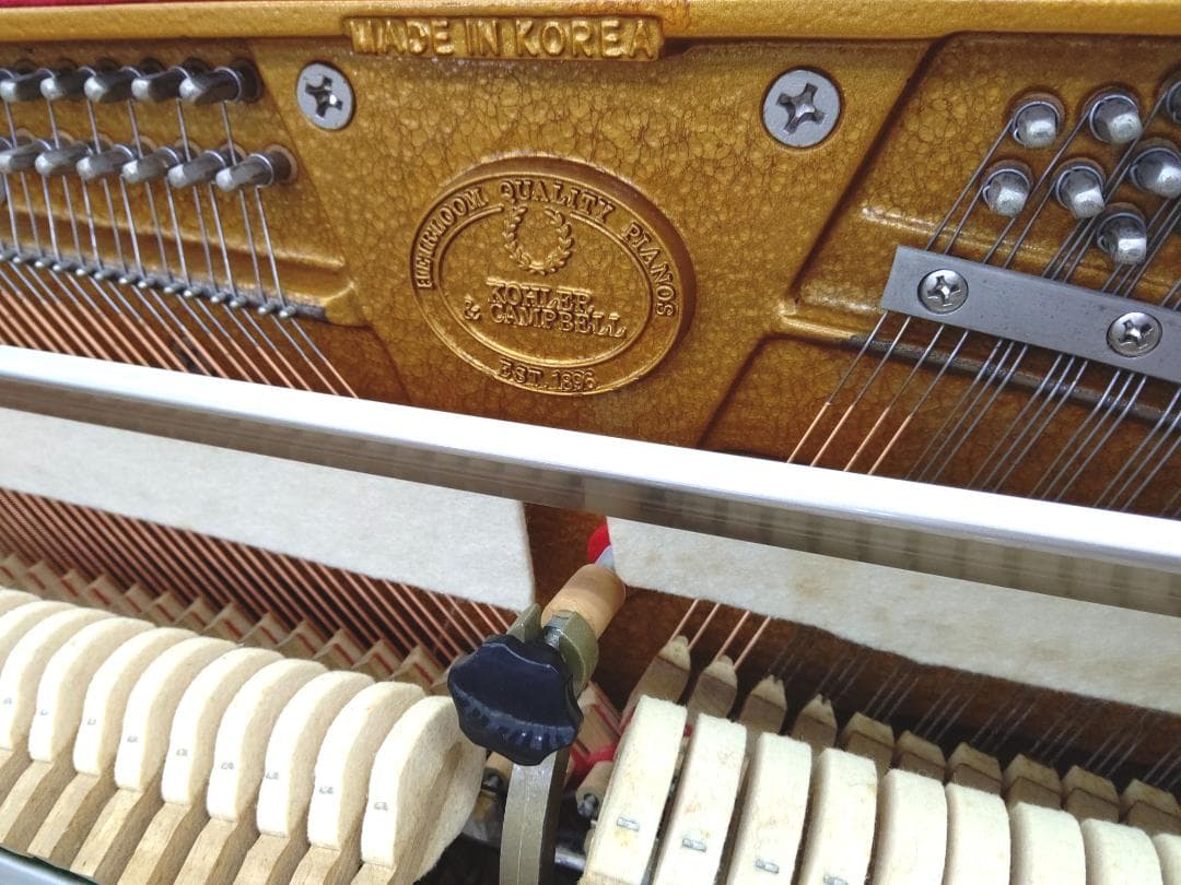 コーラー＆キャンベル【訳あり/消音システム内蔵/未整備現状渡し】