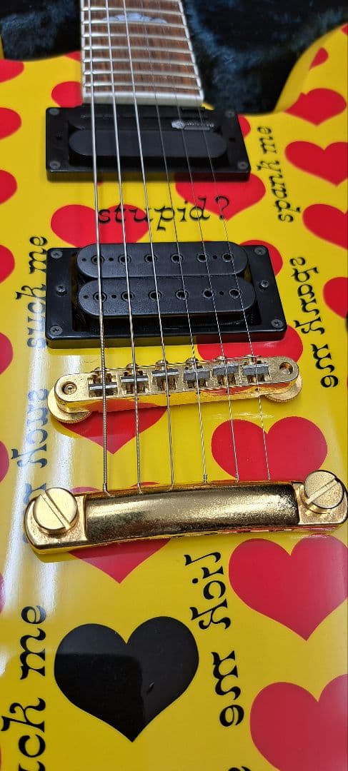 pinkspider　フェルナンデス MG-145S ハードケース