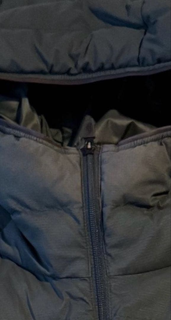 ノースフェイスTHE NORTH FACE レッドラン フーディ サイズ L