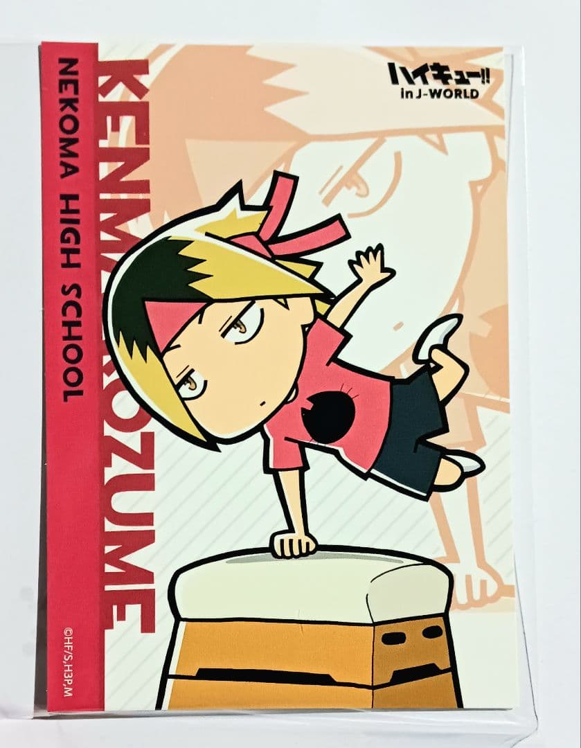 ハイキュー 孤爪研磨 競え 合同体育祭 ブロマイドカード J WORLD