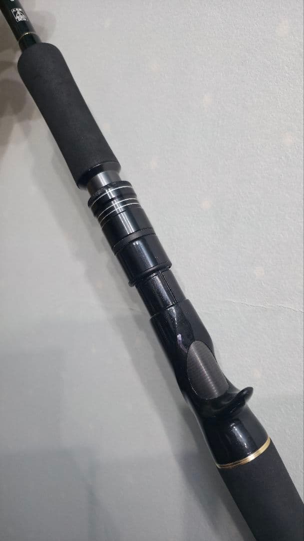 tailwalk BEECASⅡ ショアジギングロッド