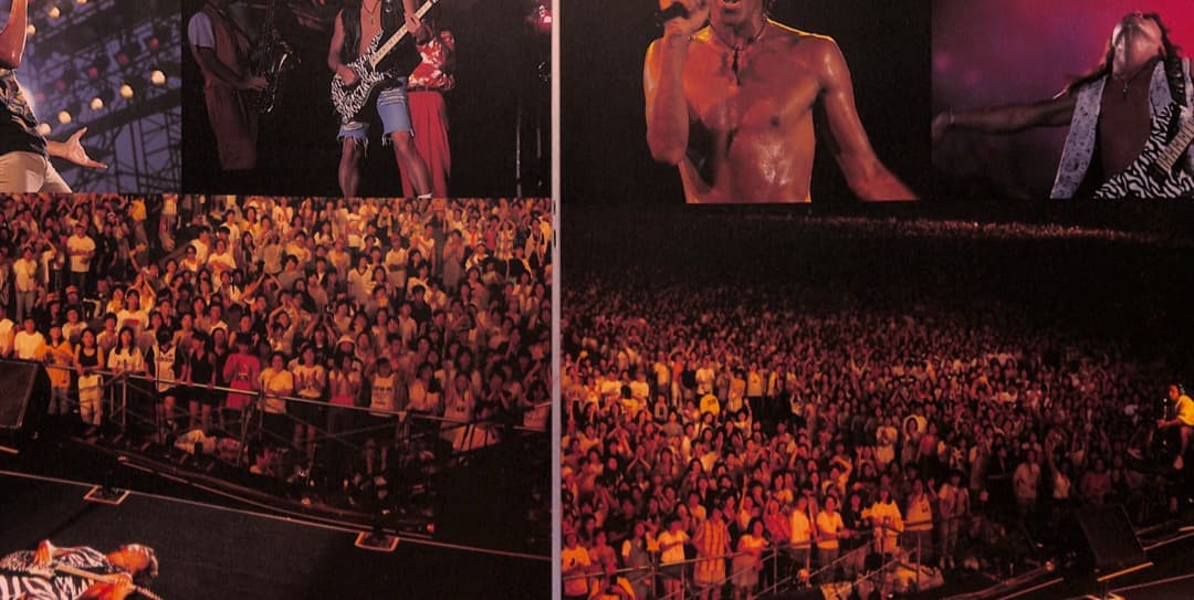 【額装にオススメ】 B'z JAP THE RIPPER カタログ