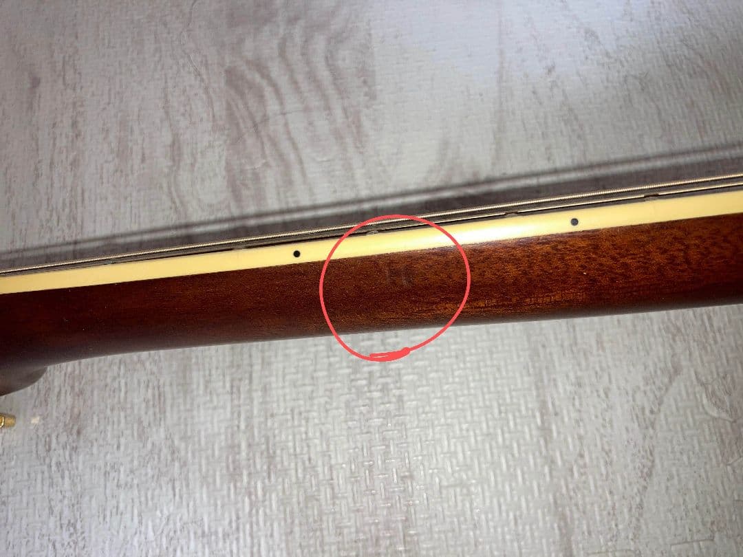 Ovation　セレブレティー　デラックス　専用ケース付き　エレアコ　CC257