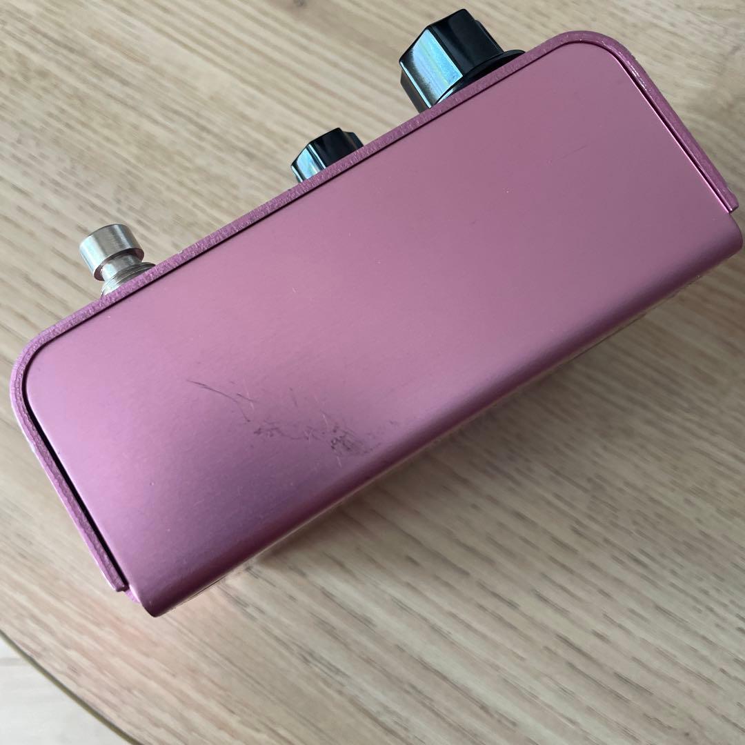 Strymon DIG デュアルディレイ