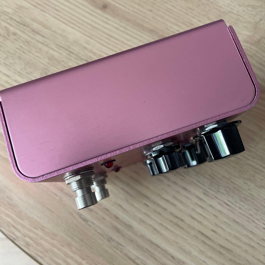 Strymon DIG デュアルディレイ