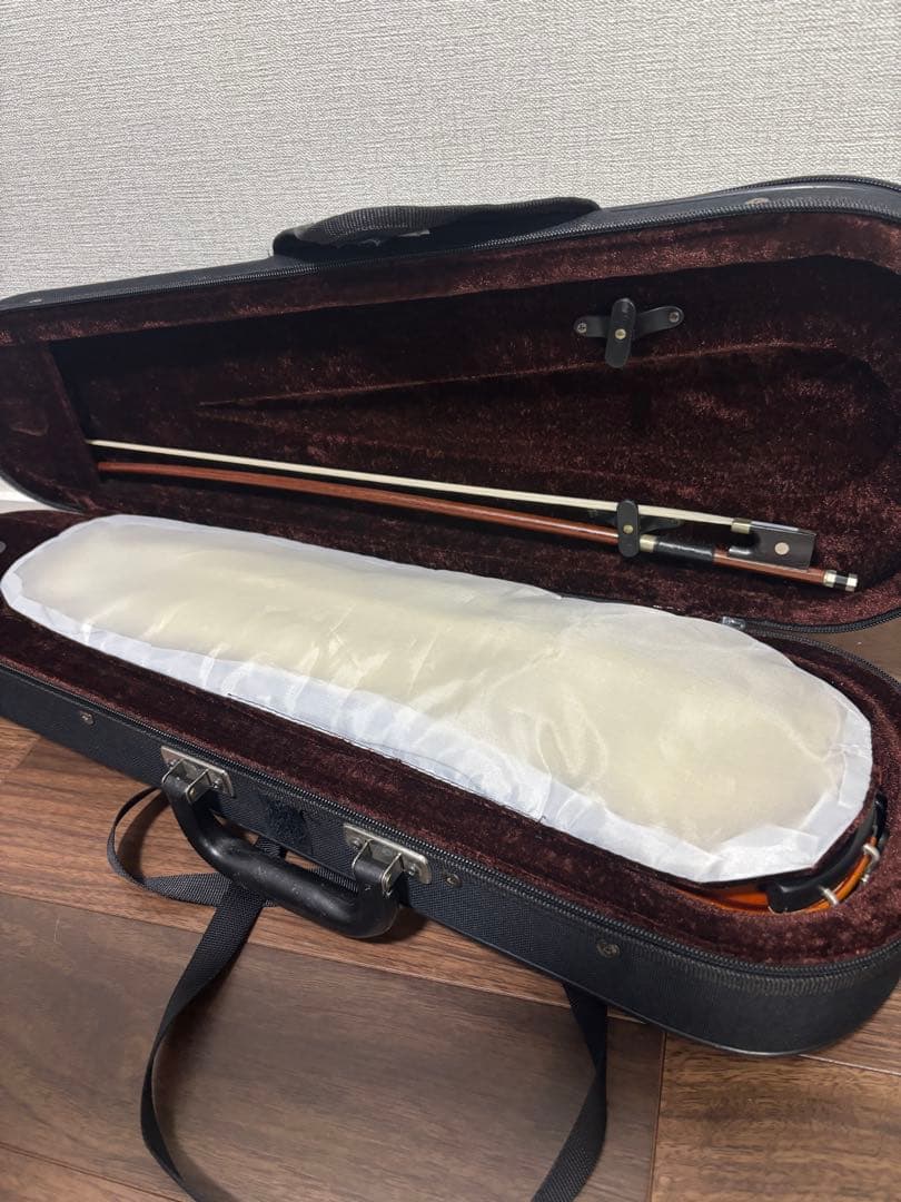 極美品✨ カルロジョダーノ VS-1 1/8 2015 分数バイオリン 弦楽器