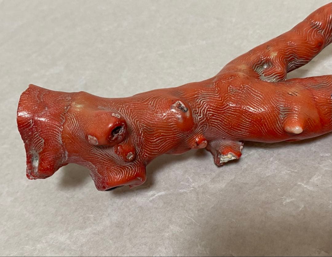 赤珊瑚　原木　天然　約410g