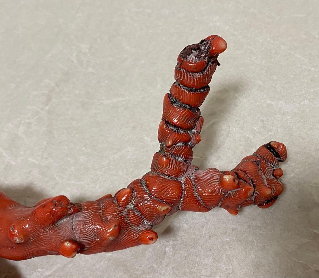 赤珊瑚　原木　天然　約410g