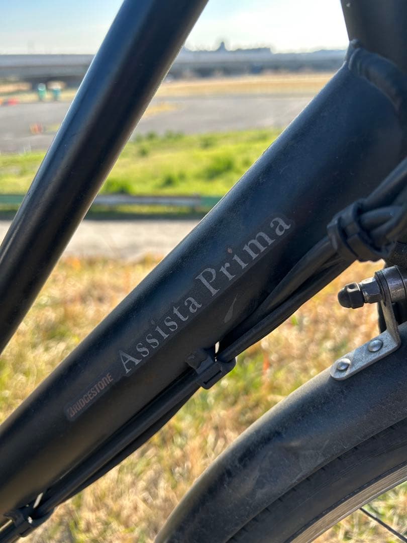 Assista Prima 電動アシスト自転車 チャイルドシート付き