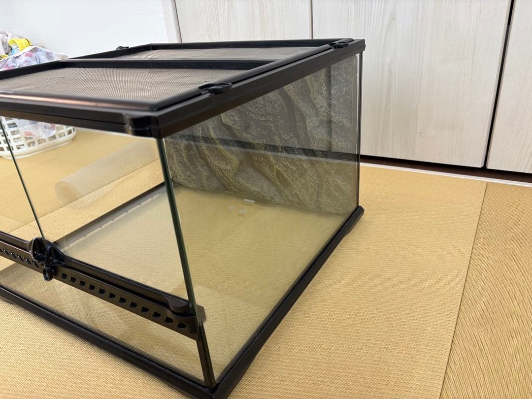 グラステラリウム　4530