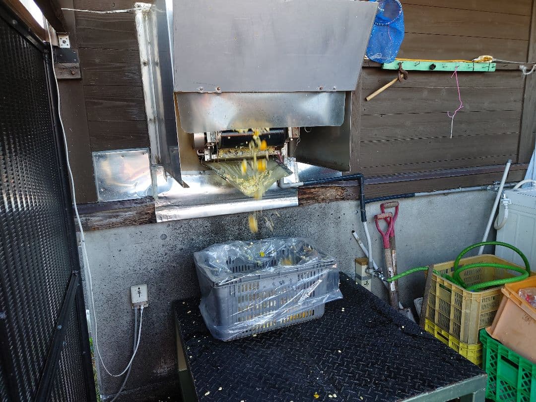 ふれあい農園の柚子果汁　720ml6本入り　無添加 　栽培期間農園不使用