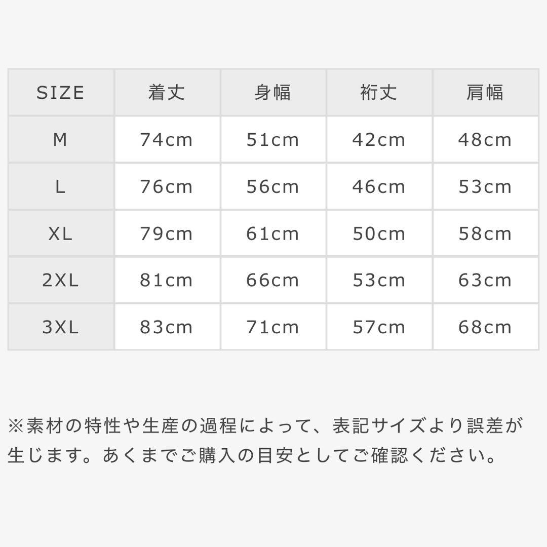 [新品未使用] NORIKIYO [OUTLETBLUES] Tシャツ　M