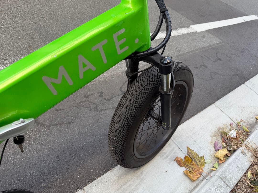 MATE BIKE X 250 メイト電動自転車メイトX 純正限定カラー