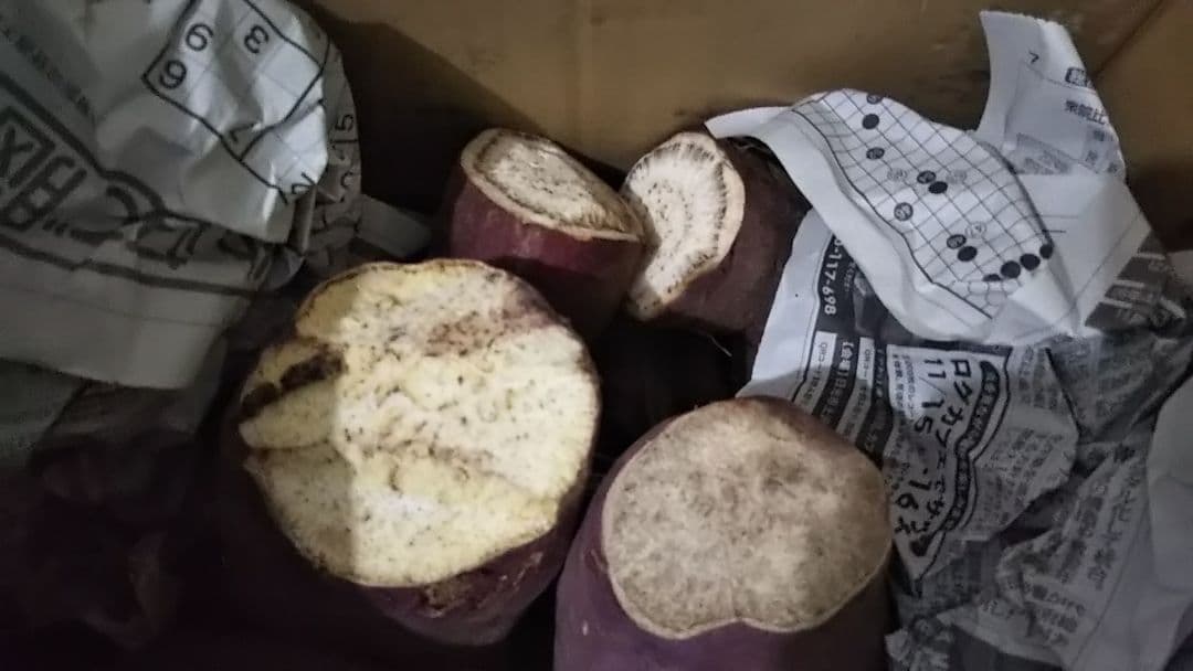 268.数量限定.お買い得さつまいもシルクスイート訳あり　加工用　箱込み10kg