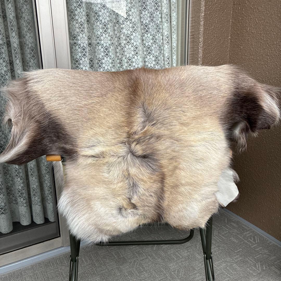 【新品】トナカイ　毛皮