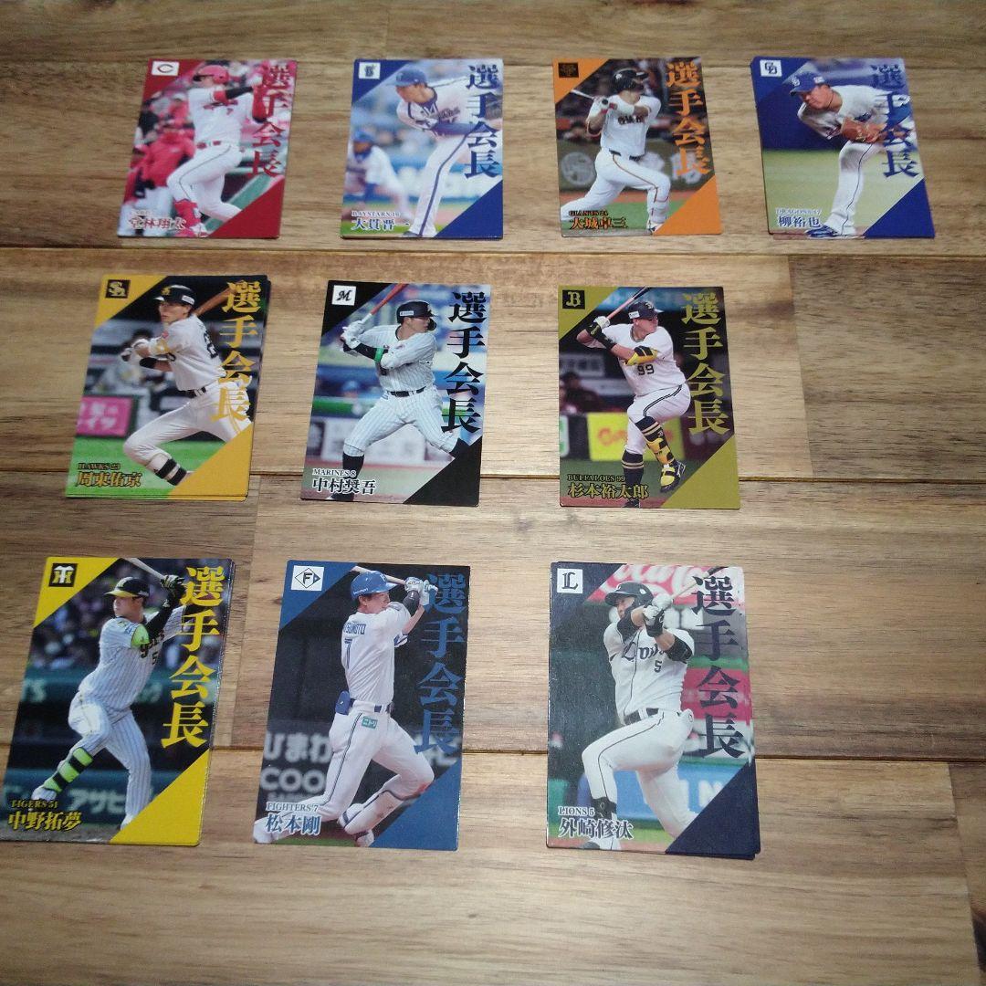 2024プロ野球カードホルダー 48枚収納 103種類159枚 まとめ売り