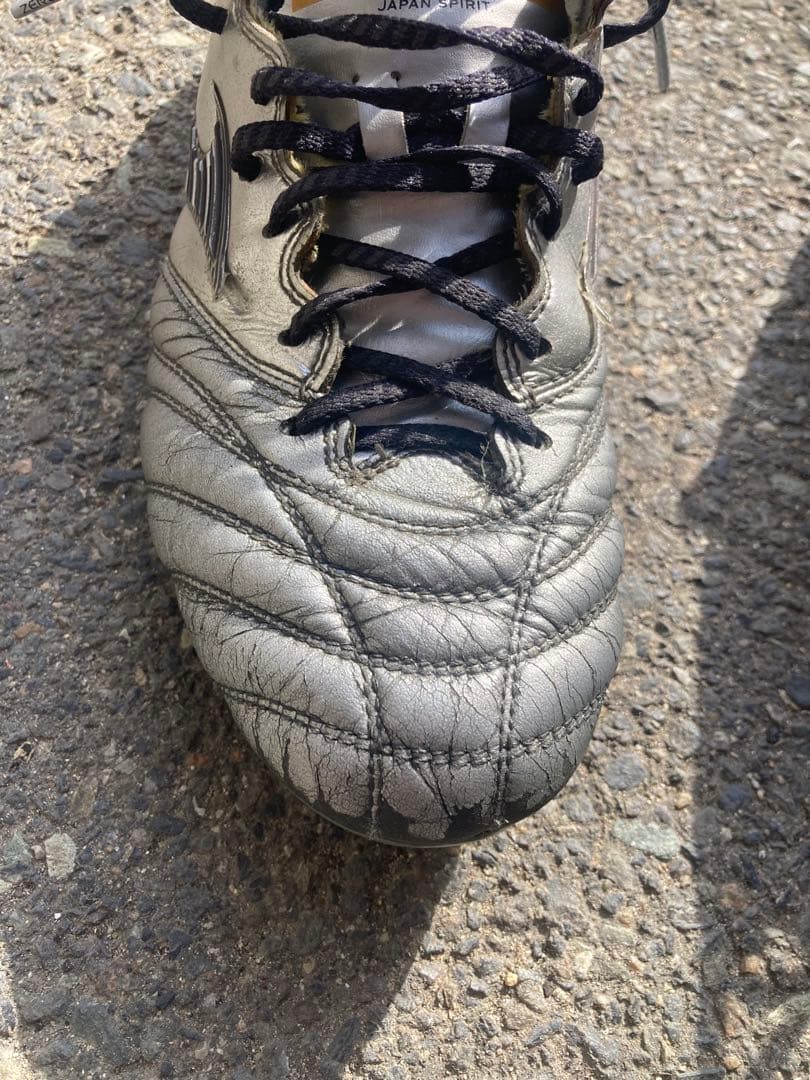 モレリアネオ　　26.0