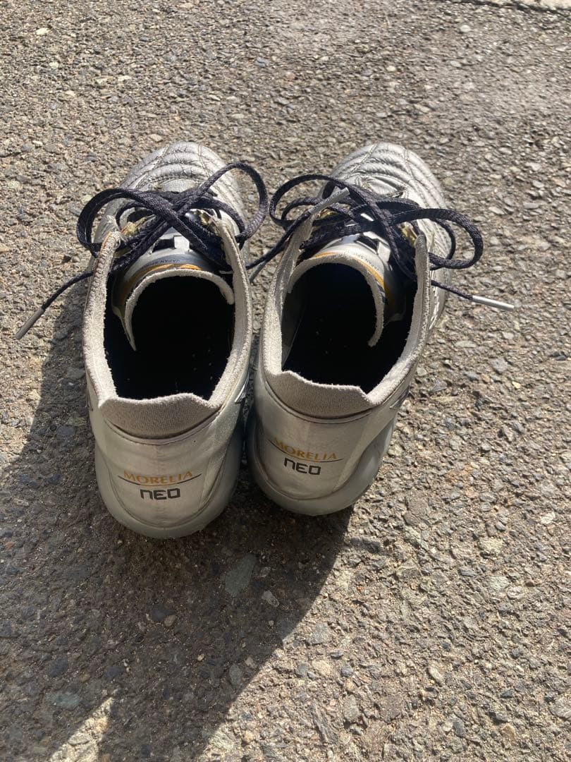 モレリアネオ　　26.0