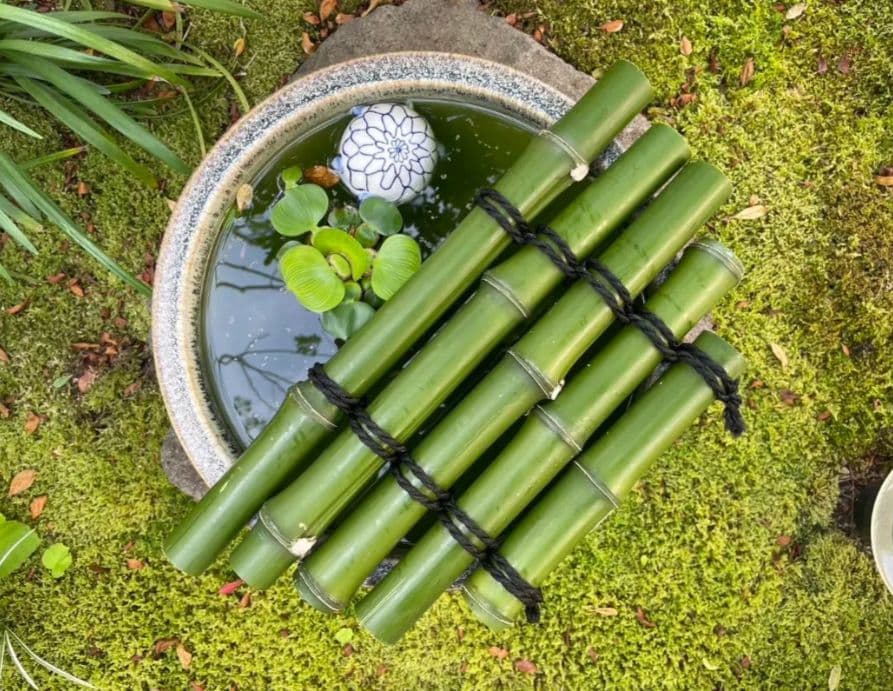 【オーダー制作します】天然青竹で作るメダカ鉢の蓋