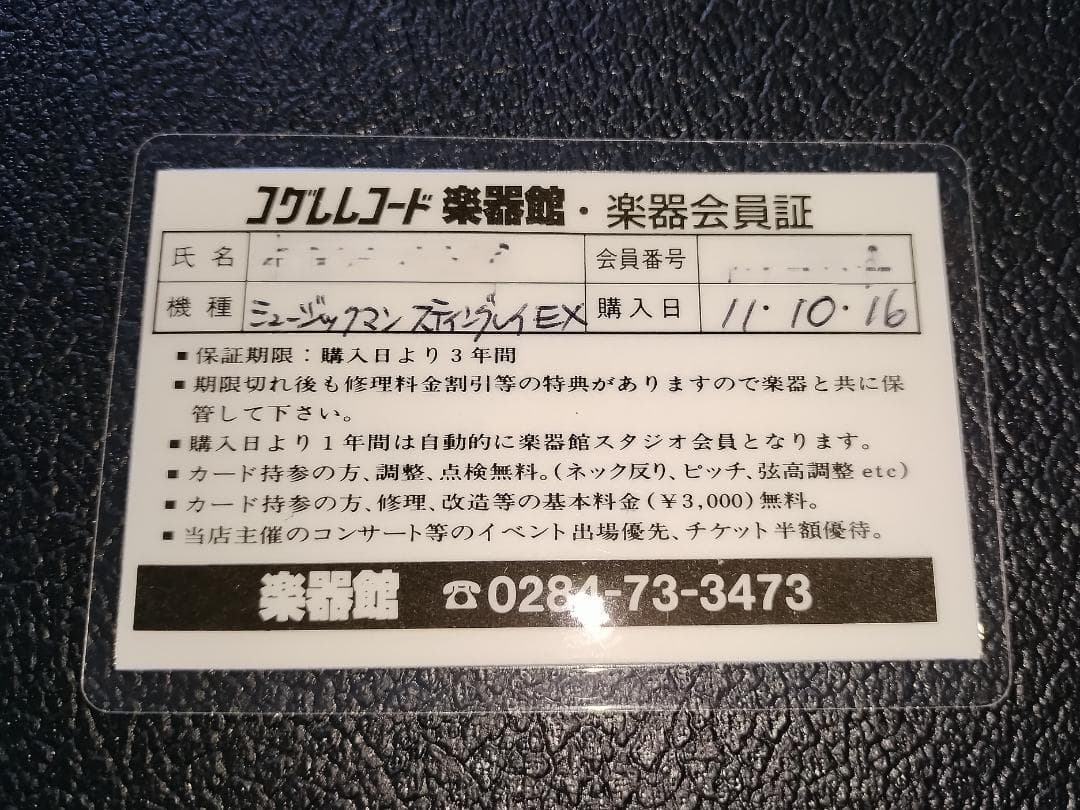 ☆Music Man / StingRay EX☆