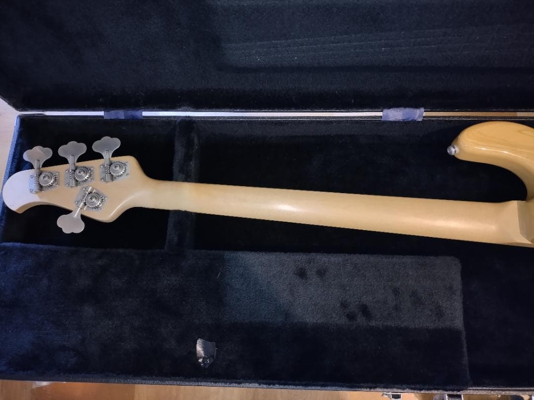 ☆Music Man / StingRay EX☆