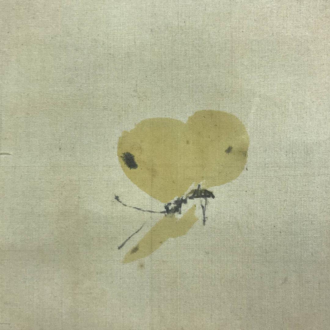 真作/平井楳仙/牡丹に蝶図/花図/ボタン図/花鳥図/掛軸/名家伝来/AD-878