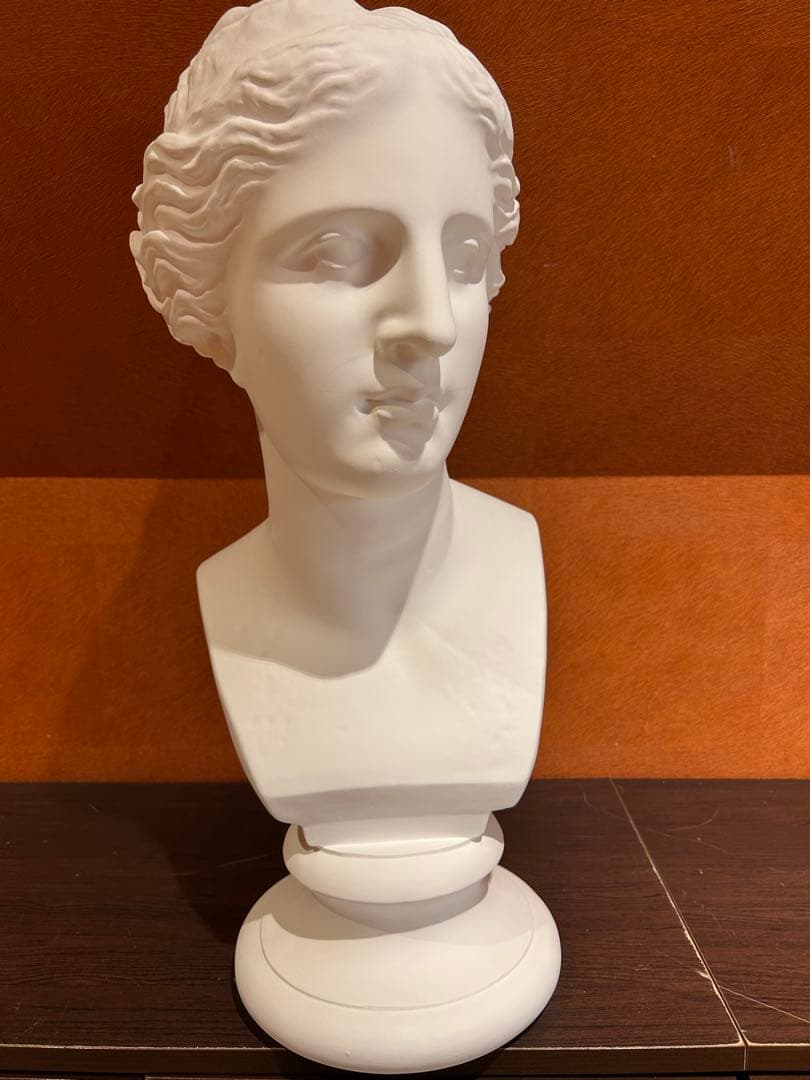 ミロのヴィーナス　石膏像　デッサン　アート　芸術　美術