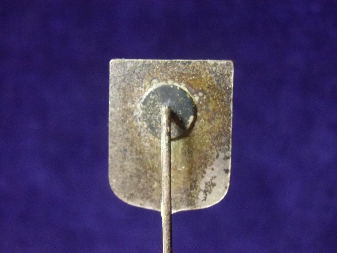 ＢＷドイツ軍/連邦軍＊第２５２降下猟兵大隊第５中隊メンバーピン（実物）