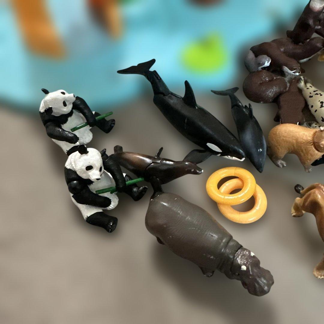 アニア　アニマルアドベンチャー　フィギュア