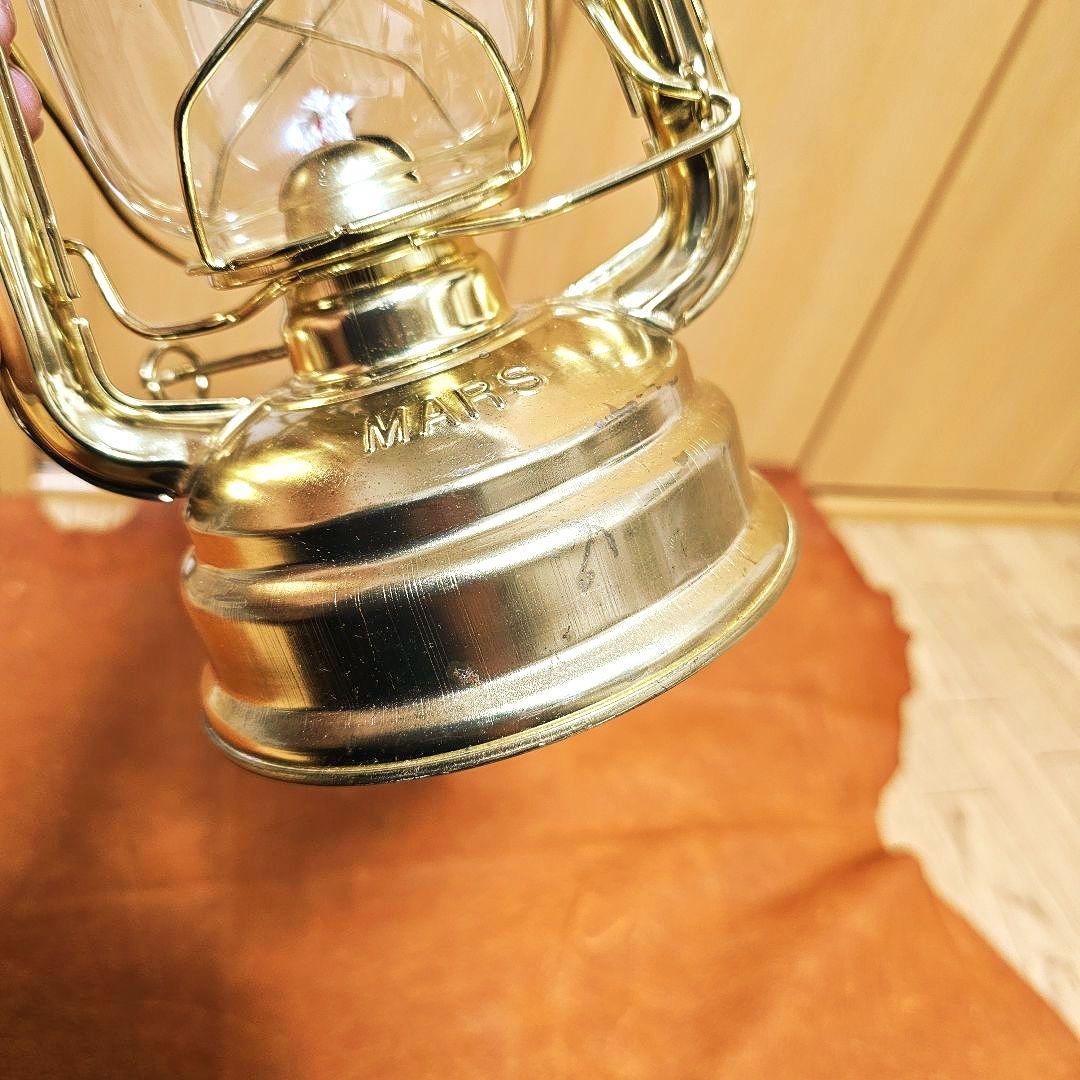 iwatadenki 限定グリーンホヤ　デイツランタン78　その他ホヤ