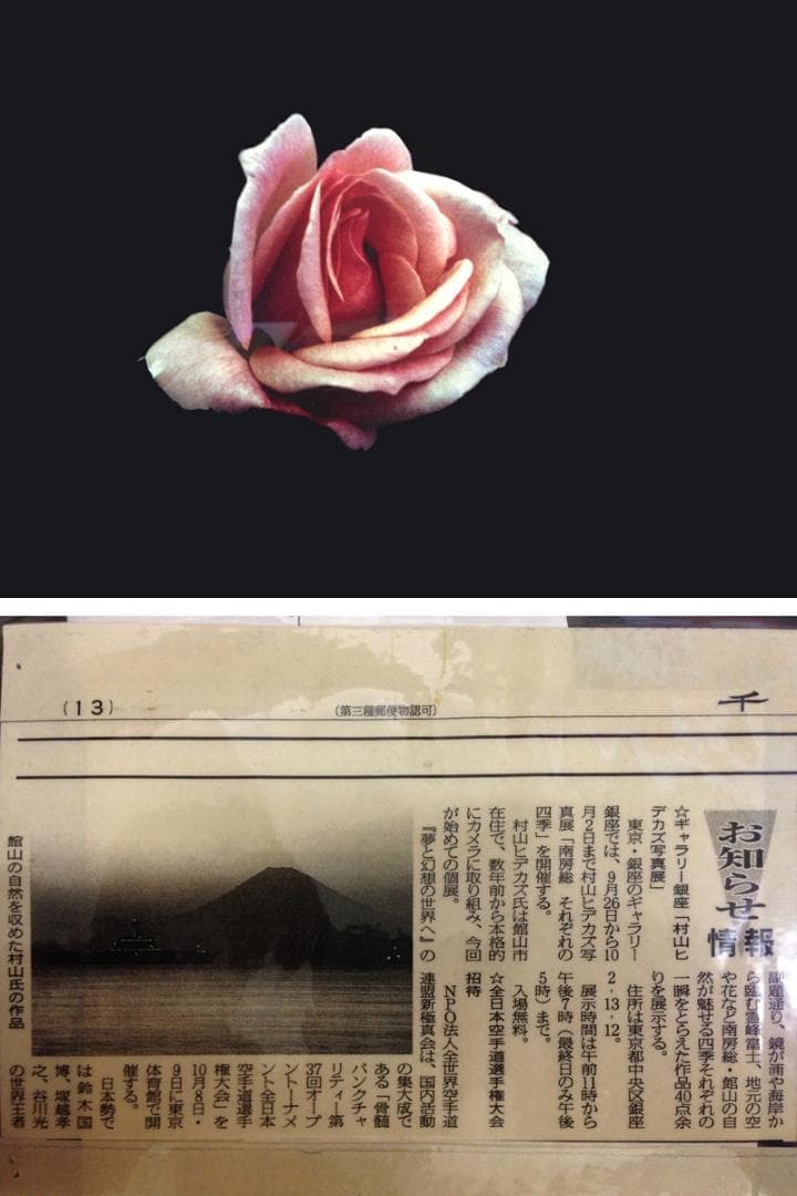 期間限定特価！　特大芸術写真 A2バラ 薔薇 ROSE 額付 70 X 79