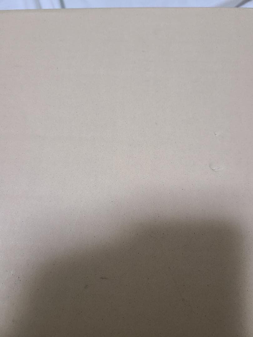 石井一男　女神　母子　F4